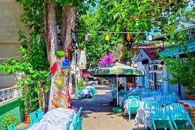 Kınalıada Gündüz Rakısı Çınaraltı Kuyu Restaurant@ Kınalıada,
